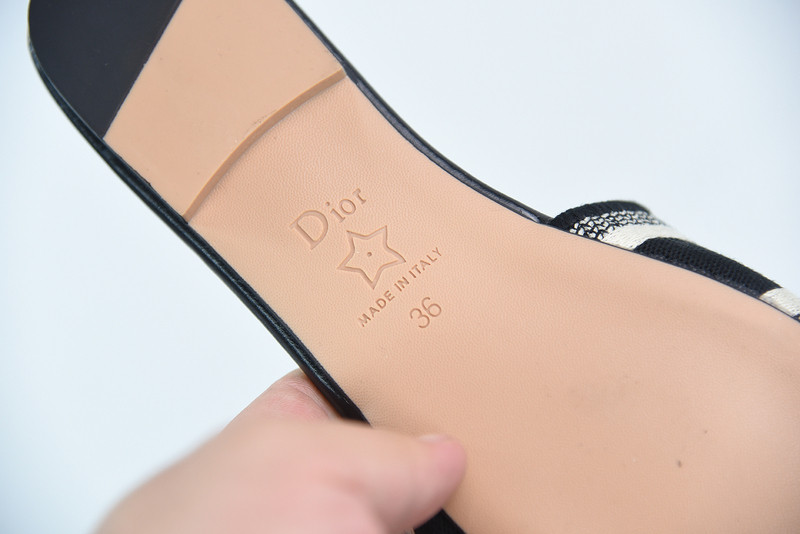 dio* slide