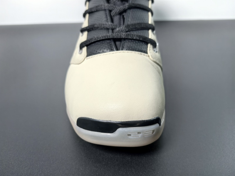 Air Jordan 17 Low 